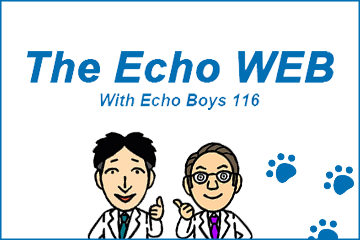 The Echo WEB With Echo Boys 116