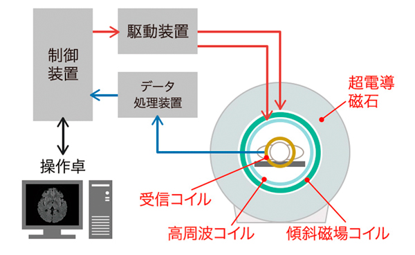 MRI装置のしくみ