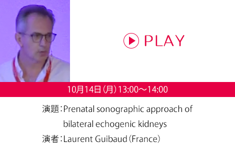 演題：Prenatal sonographic approach of bilateral echogenic kidneys　演者：Laurent Guibaud（France）
