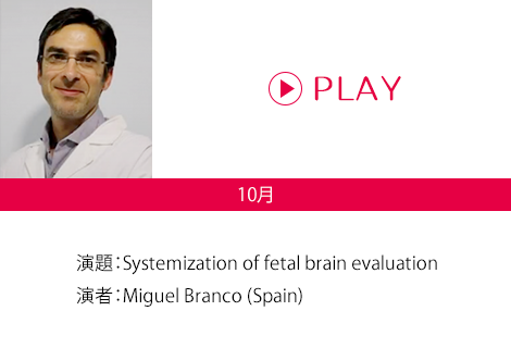 演題：Systemization of fetal brain evaluation 演者：Miguel Branco (Spain)